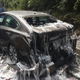 Road Covered In Wriggling Eels And Slime Following Horror Nightmare Crash<em></em>